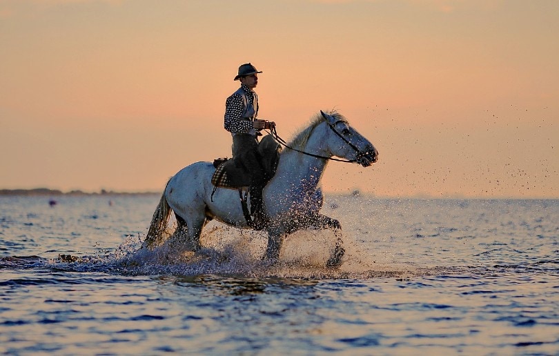 man riding a horse on water