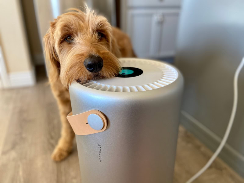 molekule air purifier - micah interacting with product