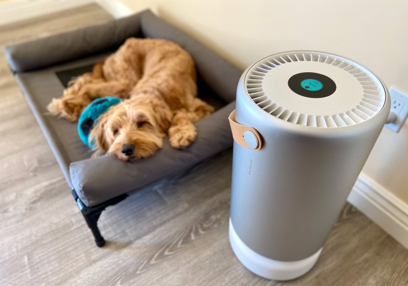molekule air purifier - micah sleeping next to the product