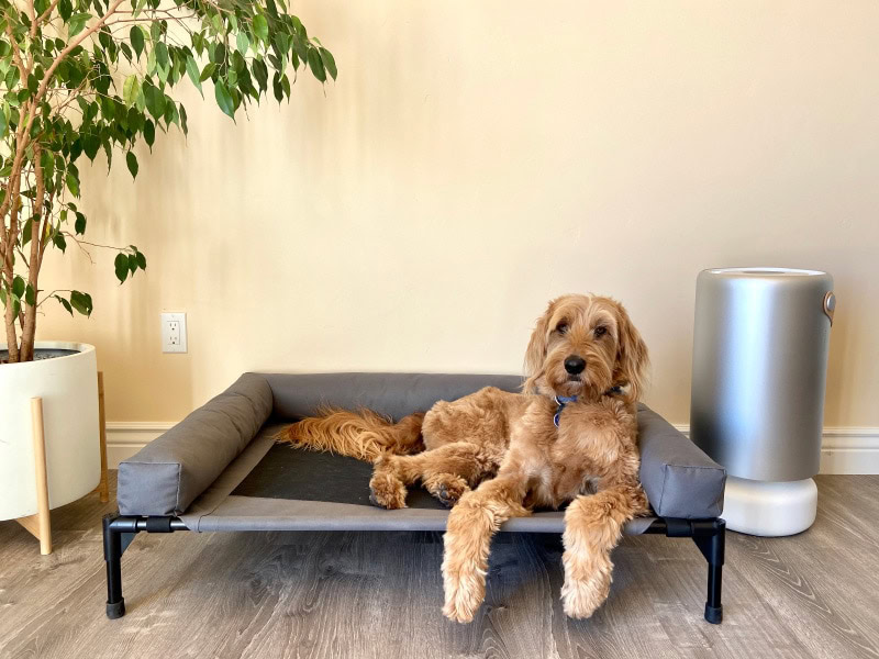 molekule air purifier - product next to Micah's bed