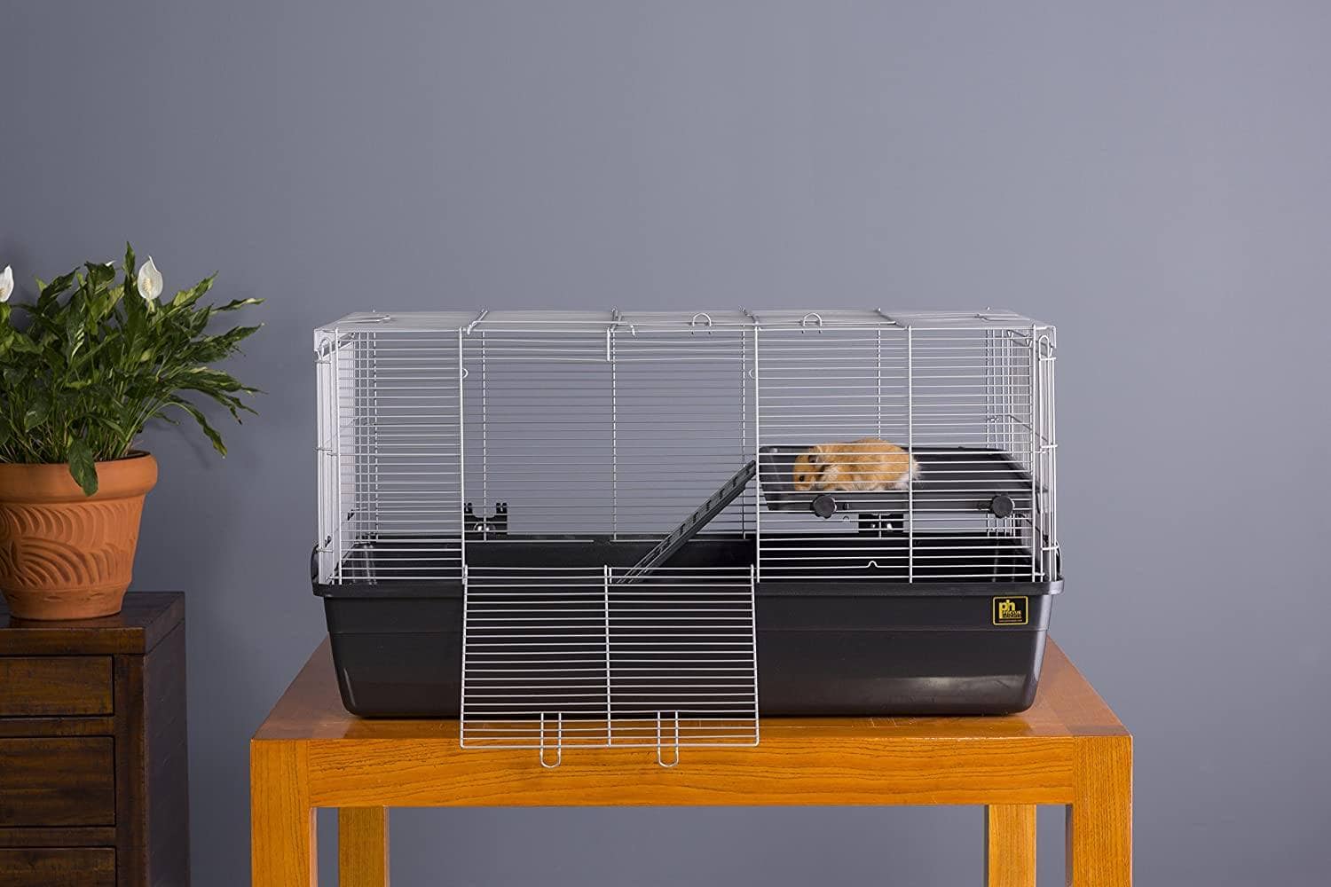 mouse inside Prevue Pet Products 528 Small Animal Cage