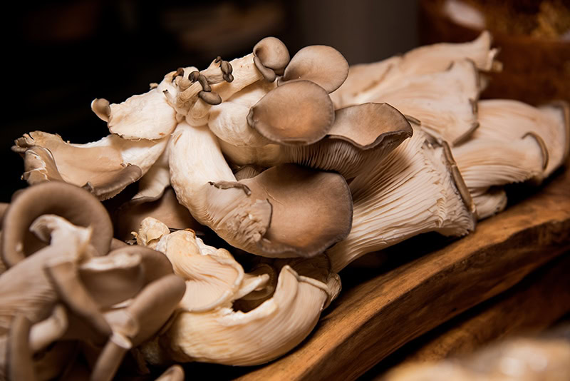 mushrooms on the chopping board