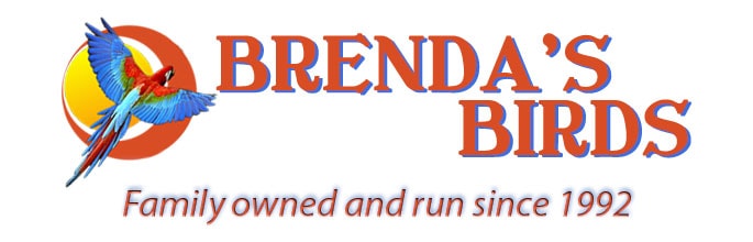 Brenda’s Birds
