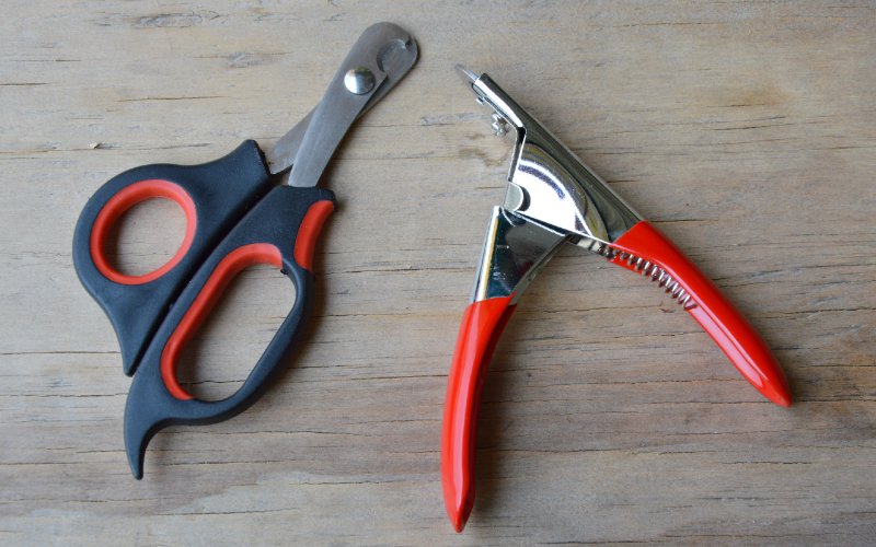 nail clippers for dogs and cats on a wooden surface