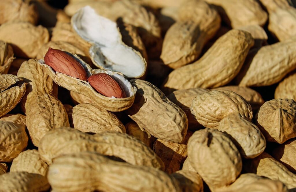 peanuts with shells