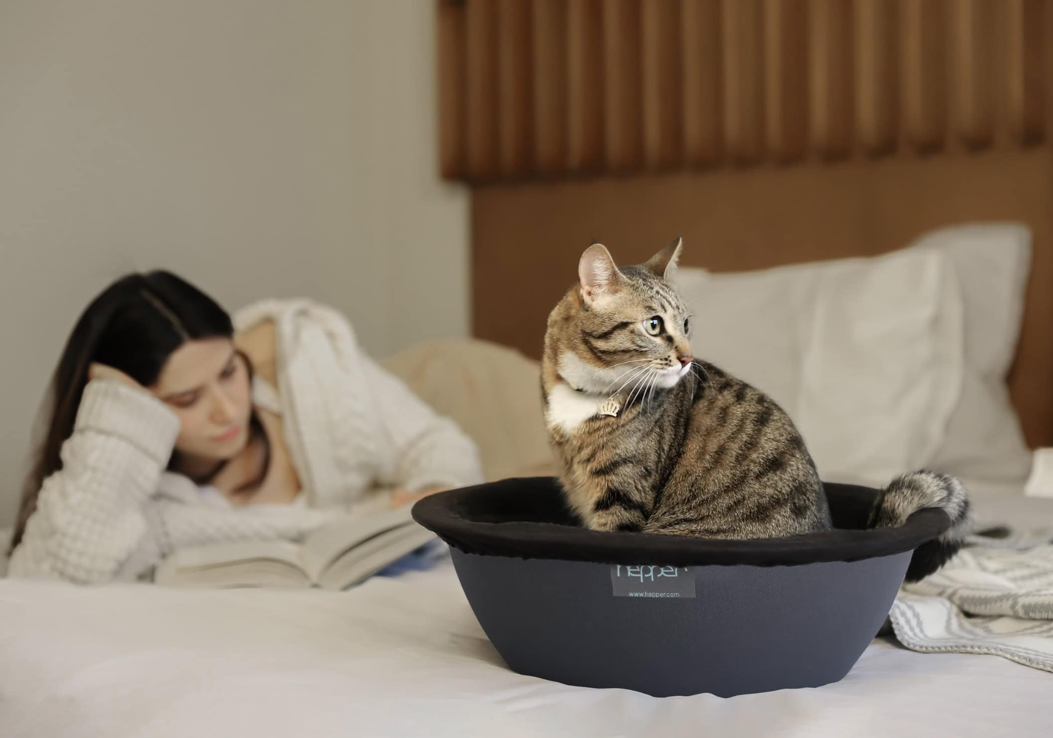 owner with cat on Hepper nest bed