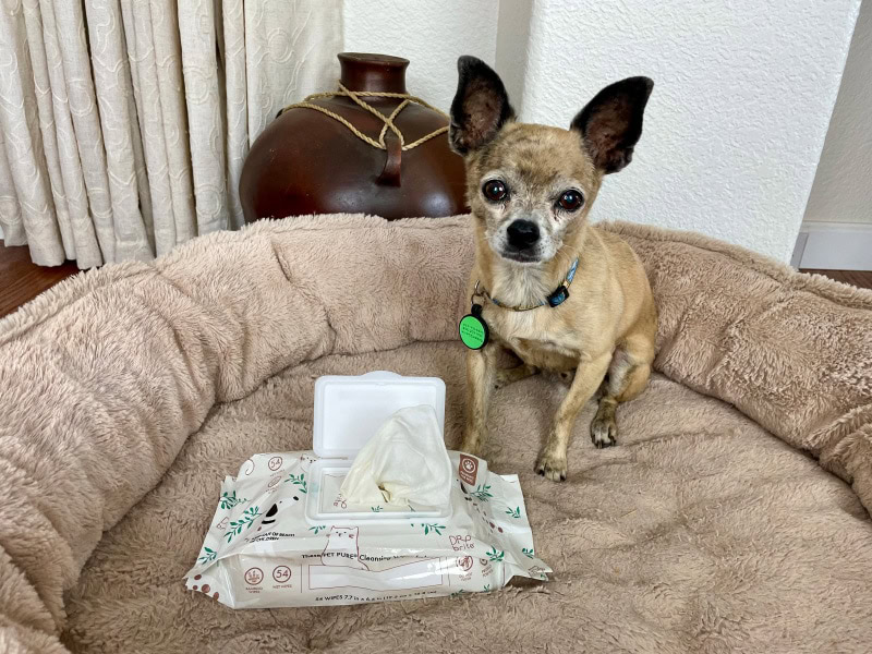 papyrus and cleansing wipes from dr. brite