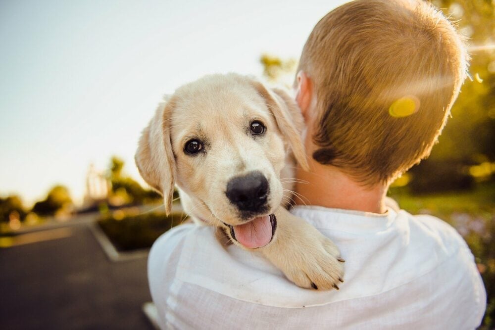 person carrying a white dog in its shoulder