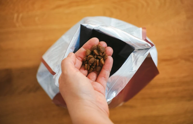 person scooping out dry cat food out of bag with their hand