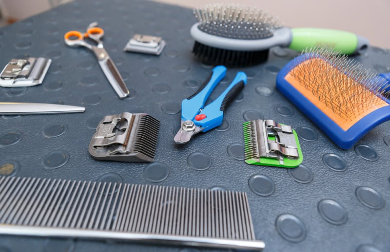 pet grooming tools