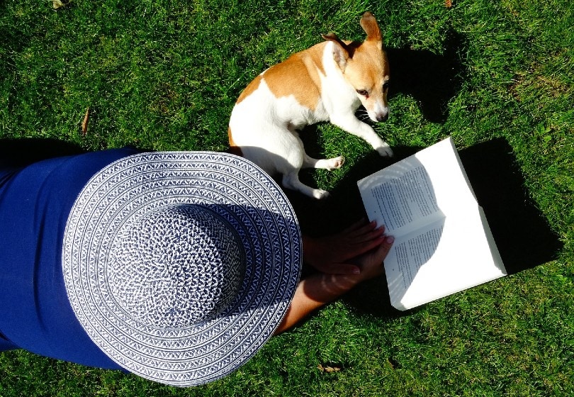 pet owner reading a book outdoors
