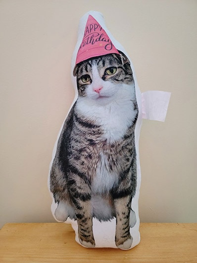 petsies customized pet pillow