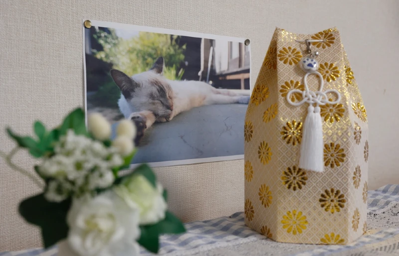 photograph and remains of cremated dead cat in urn