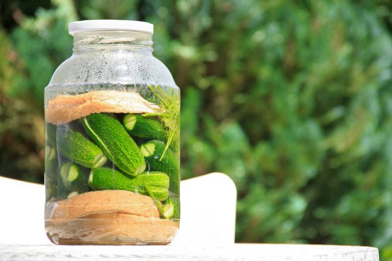 pickled cucumber in a jar
