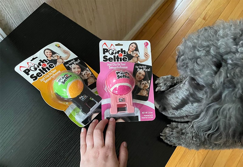 pooch selfie packaging