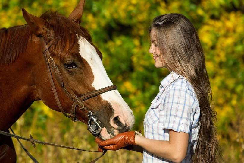 pretty-young-woman-with-a-browne-horse_Wallenrock_shutterstock