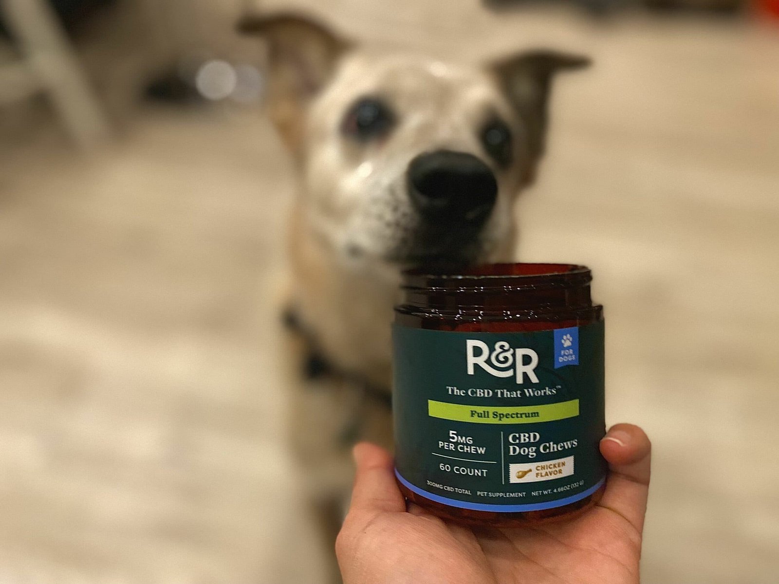 R&R CBD