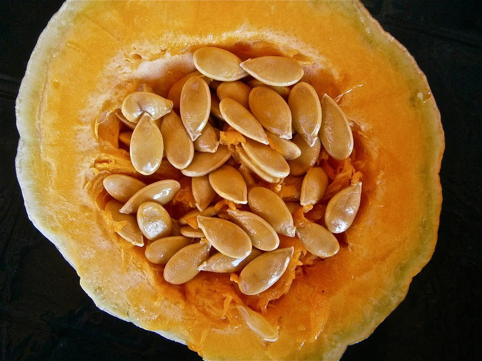 pumpkin seed
