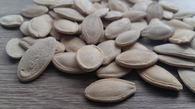 pumpkin seeds
