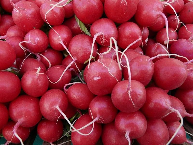 radishes