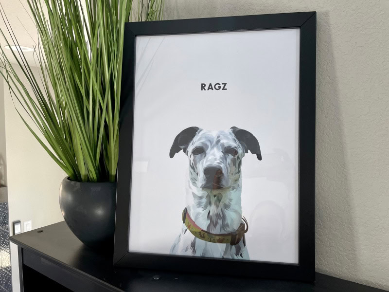 ragz pet portrait from crown & paw