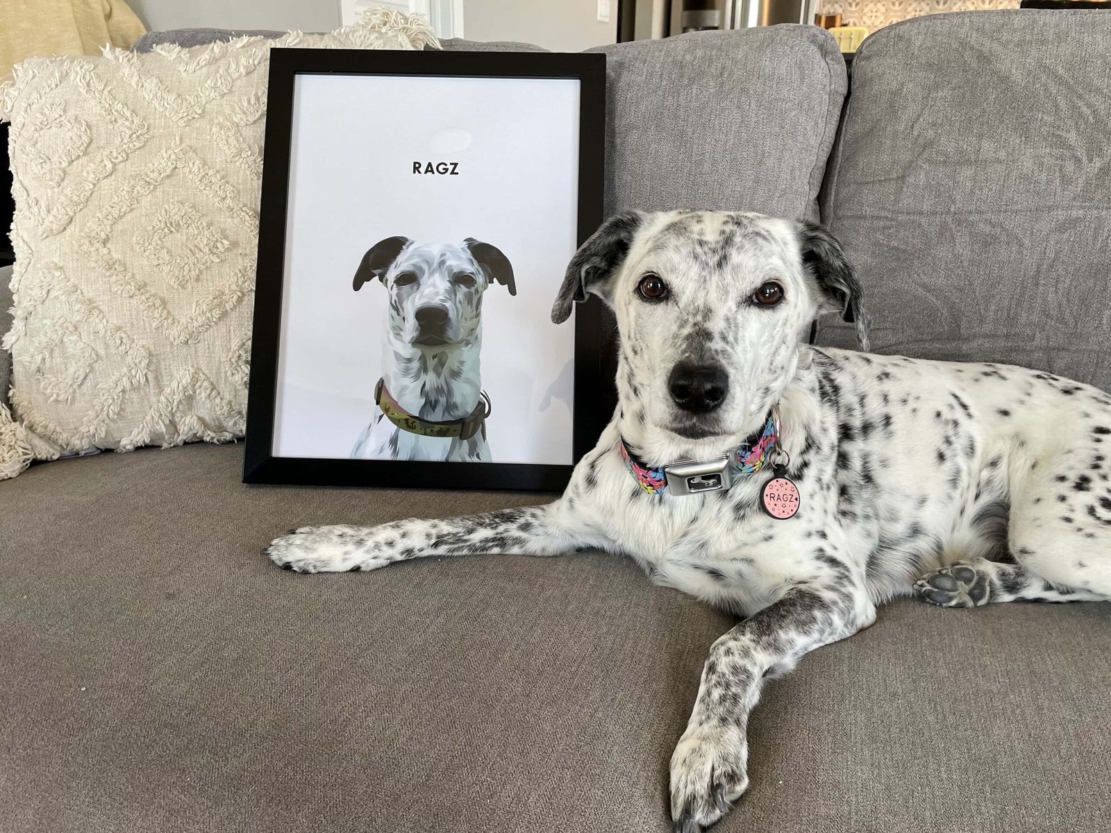 ragz sitting next to her portrait from crown & paw pet portrait