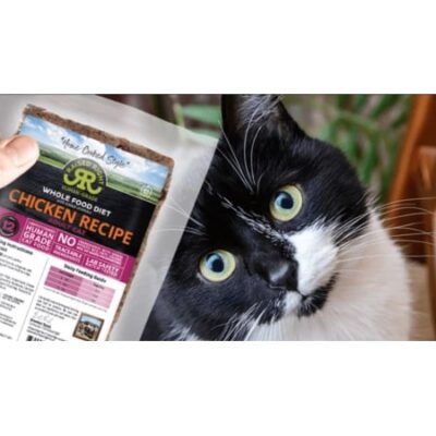 Raised Right Fresh Cat Food