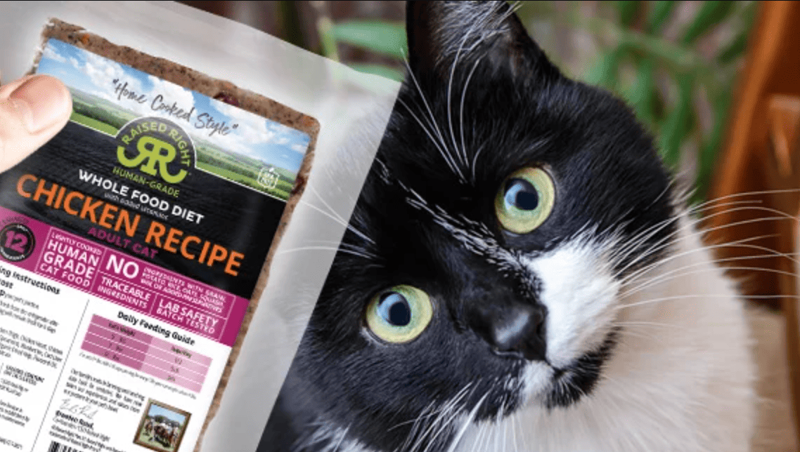 raised right cat food