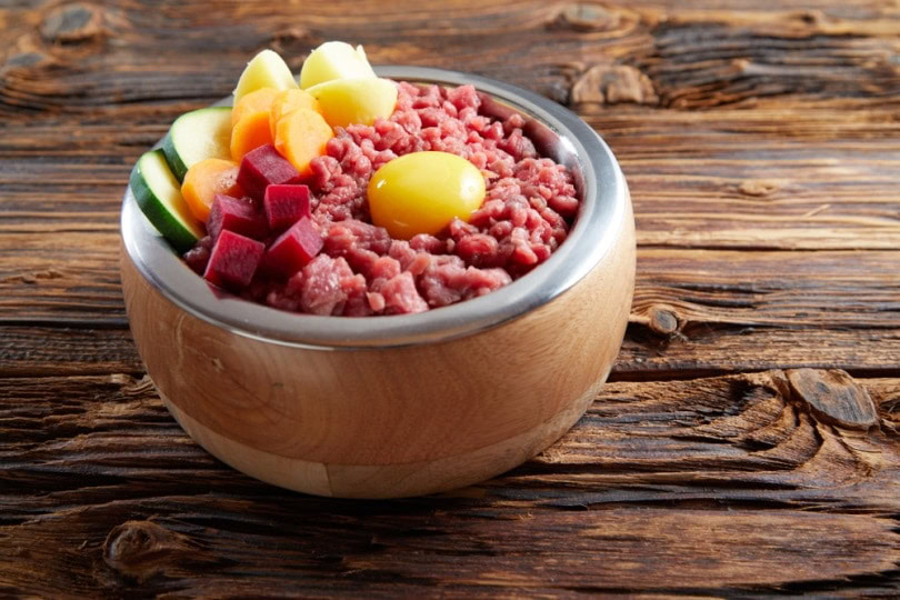 raw dog food