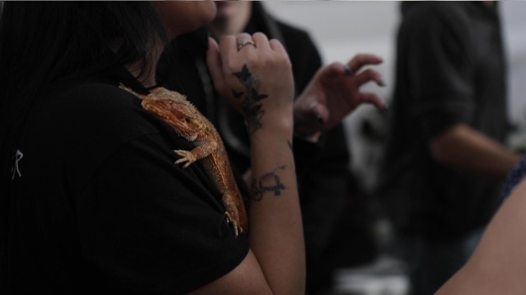 reptile on woman's shoulder