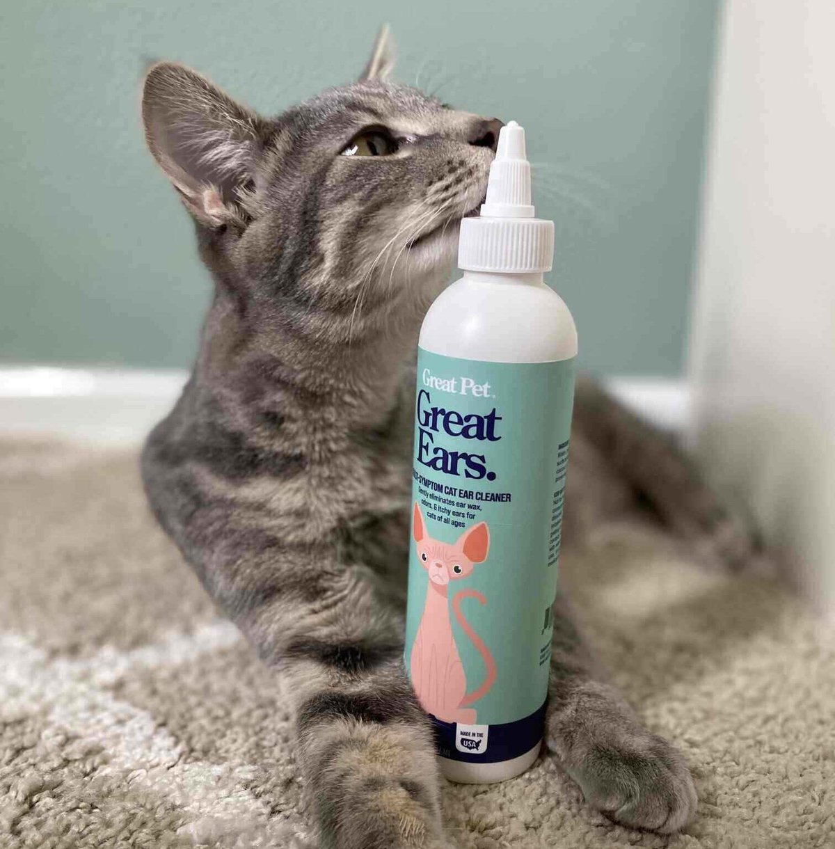 Great Pet Ear Cleaner & cat smelling it