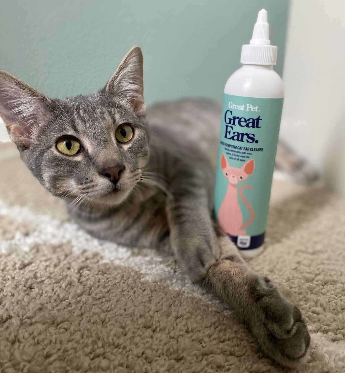 Great Pet Ear Cleaner & cat next to it