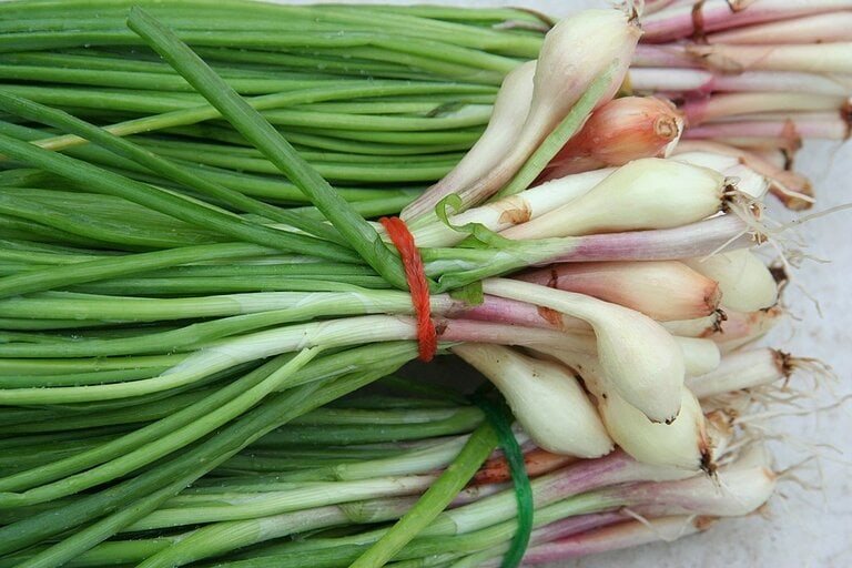 green onions