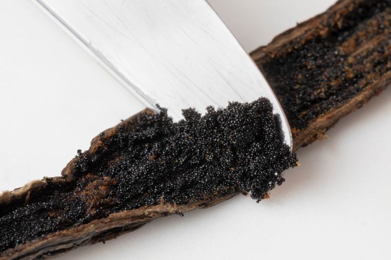 scrape black vanilla seeds on the tip of a knife close up