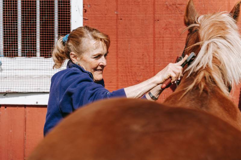 senior woman grooming the horse