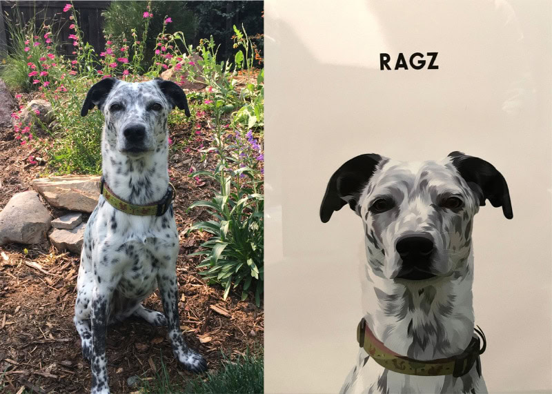 side by side image of ragz and her portrait from crown & paw