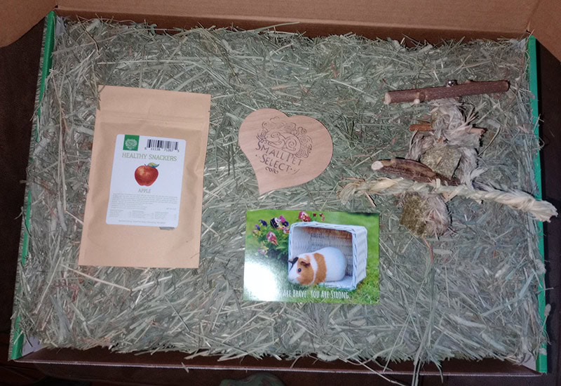 small pet select products