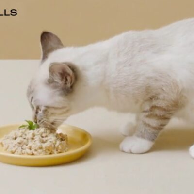 Smalls Fresh Ground Bird Recipe