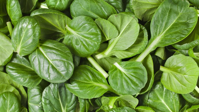 spinach leaves