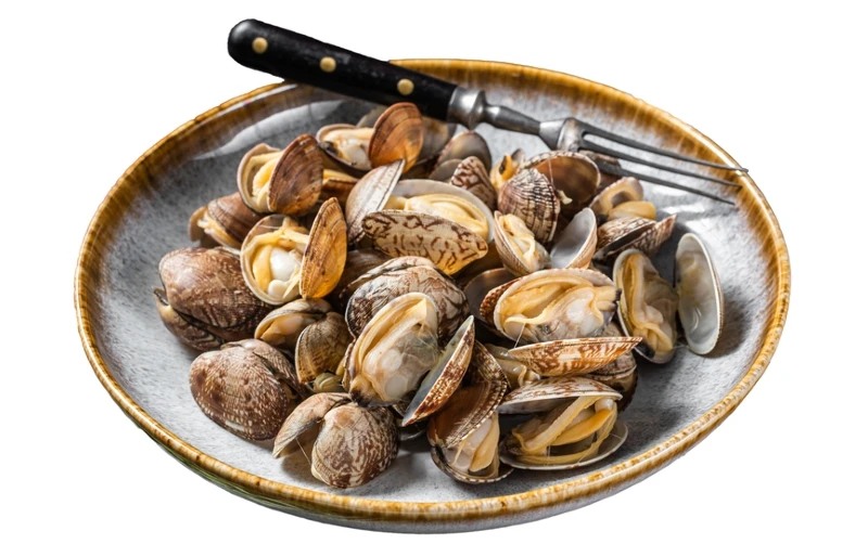 steamed cooked clams on a plate
