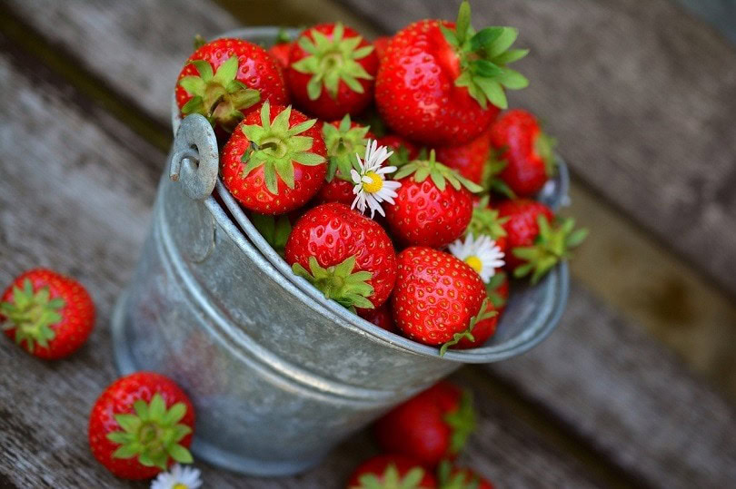 strawberries-pixabay