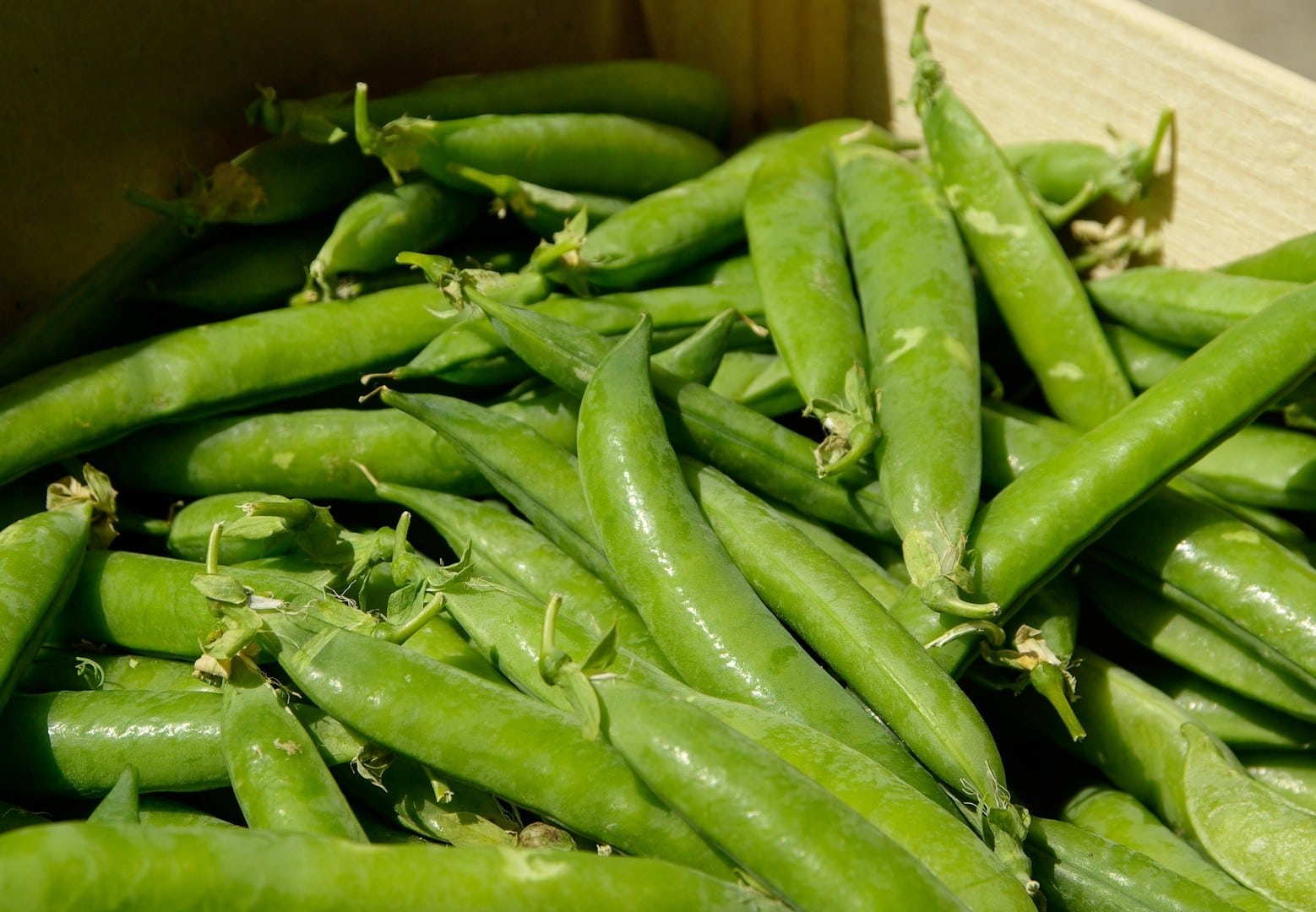 sugar snap peas