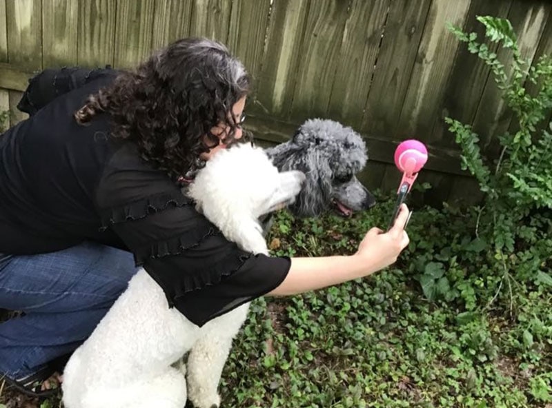 taking pictures of the poodles using pooch selfie