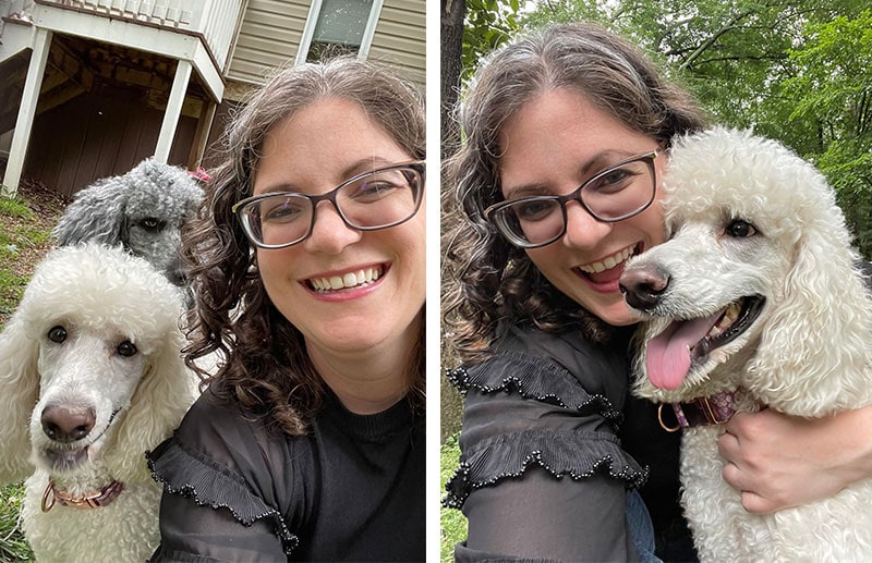 taking selfies with poodles using pooch selfie