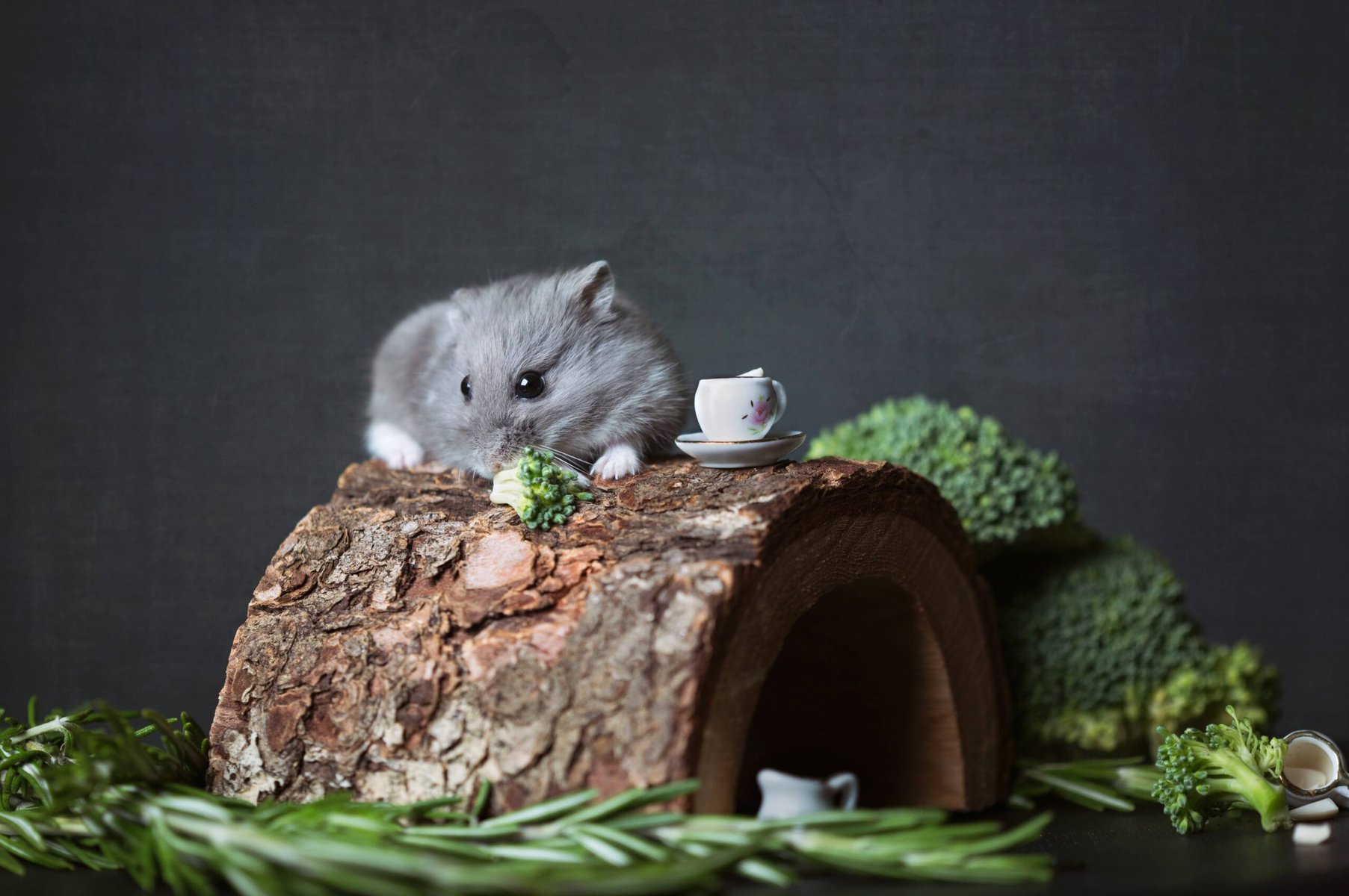 hamster tea party