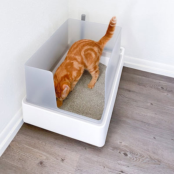 tuft and paw litterbox