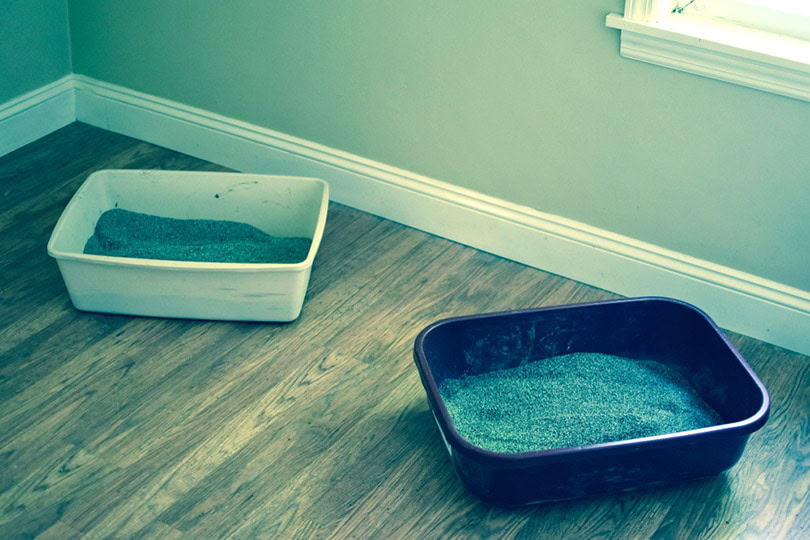 two cat litter boxes on wood floor indoors