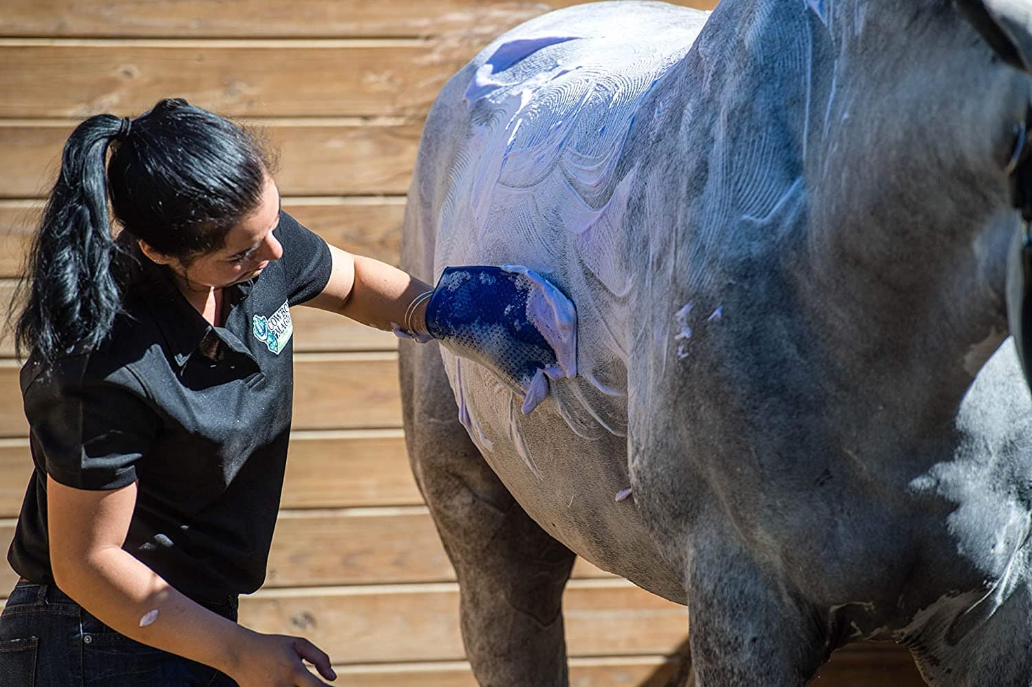 using Cowboy Magic Shine Whitening Shampoo on horse