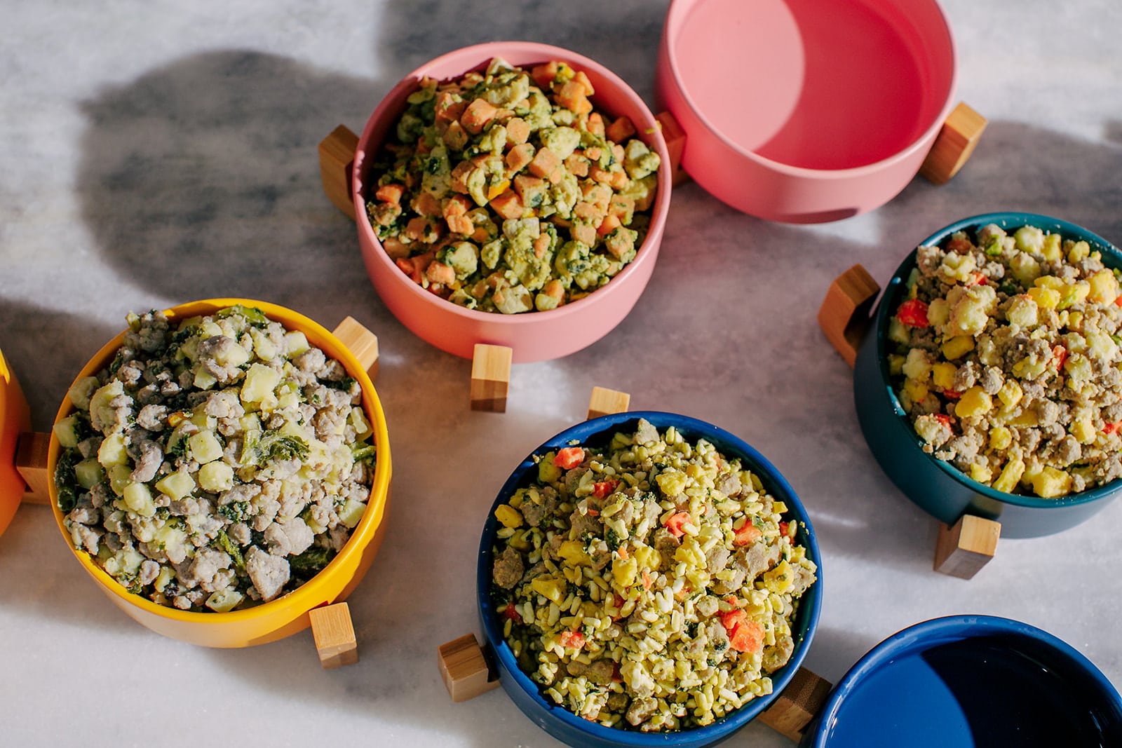 variety of nom nom dog food in elevated pet bowls