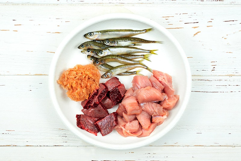 variety of raw food on cat feeding bowl